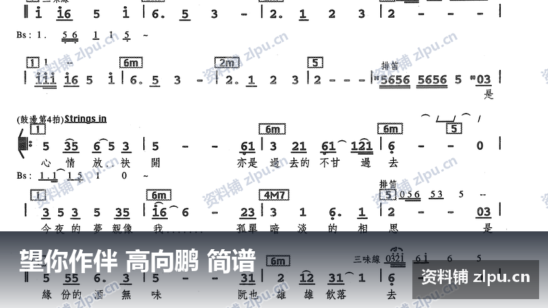 望你作伴 高向鹏 简谱（共4页）-资料铺