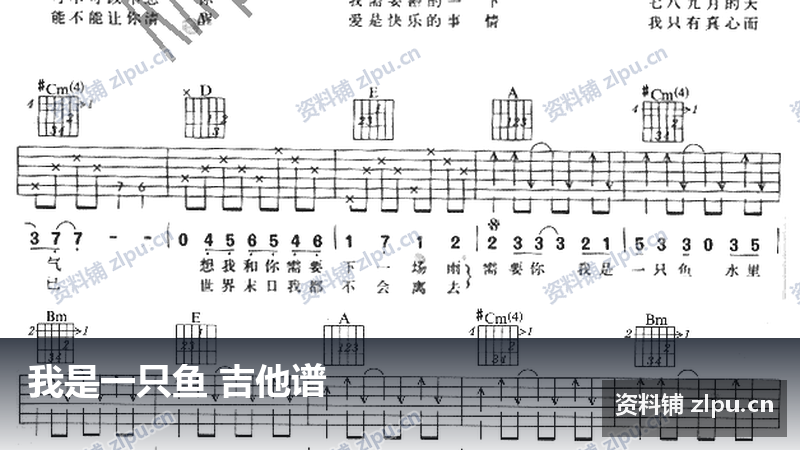 我是一只鱼 吉他谱-资料铺