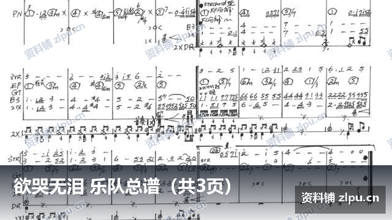 欲哭无泪 乐队总谱(共3页)-资料铺