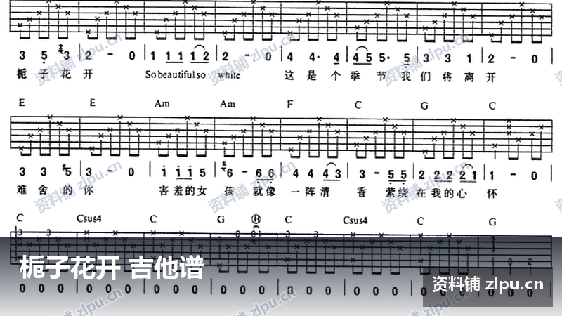 栀子花开 吉他谱-资料铺