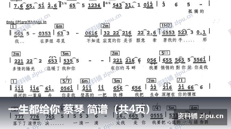 一生都给你 蔡琴 简谱（共4页）-资料铺