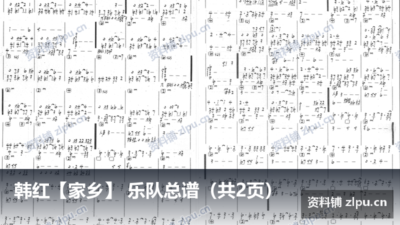 韩红【家乡】 乐队总谱（共2页）-资料铺