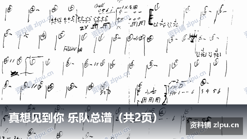 真想见到你 乐队总谱(共2页)-资料铺