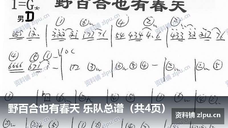 野百合也有春天 乐队总谱（共4页）-资料铺