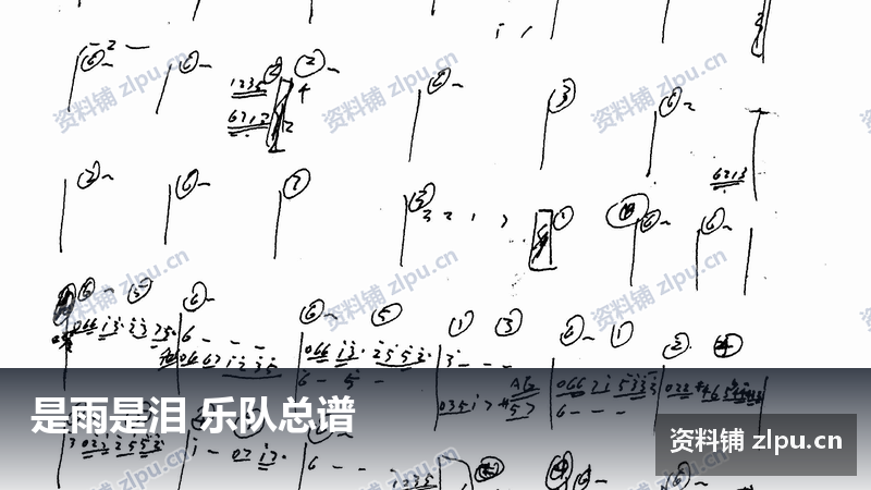 是雨是泪 乐队总谱-资料铺