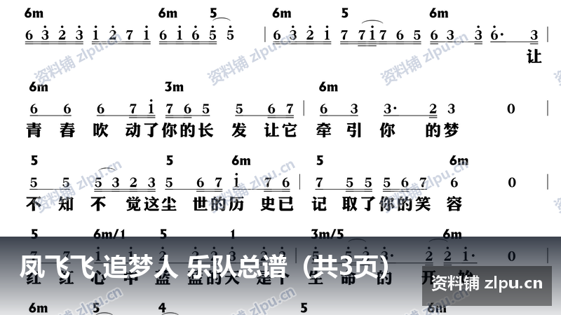 凤飞飞 追梦人 乐队总谱（共3页）-资料铺
