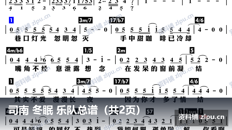 司南 冬眠 乐队总谱（共2页）-资料铺
