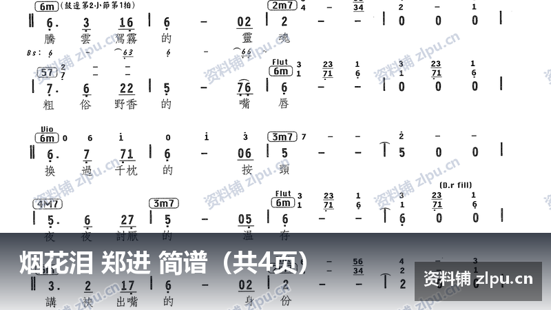 烟花泪 郑进 简谱（共4页）-资料铺