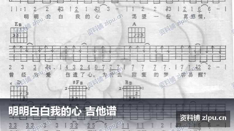 明明白白我的心 吉他谱-资料铺