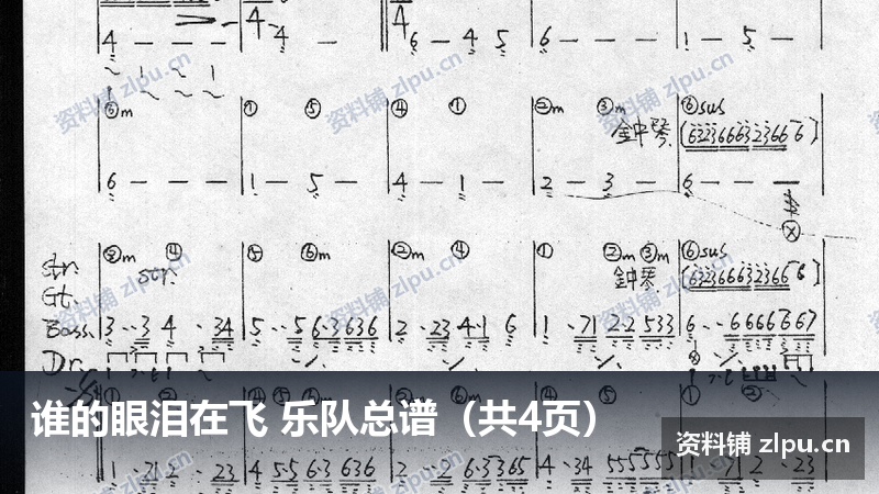 谁的眼泪在飞 乐队总谱(共4页)-资料铺