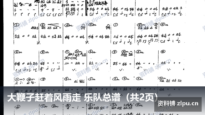 大鞭子赶着风雨走 乐队总谱（共2页）-资料铺