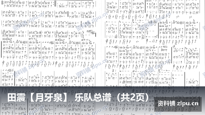 田震【月牙泉】 乐队总谱(共2页)插图 田震【月牙泉】 乐队总谱(共2页)