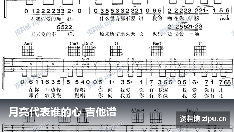 月亮代表谁的心 吉他谱-资料铺