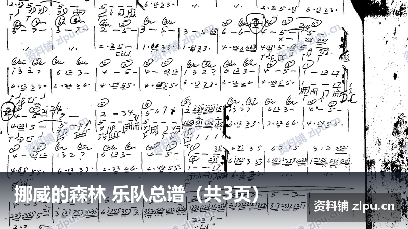 挪威的森林 乐队总谱（共3页）-资料铺