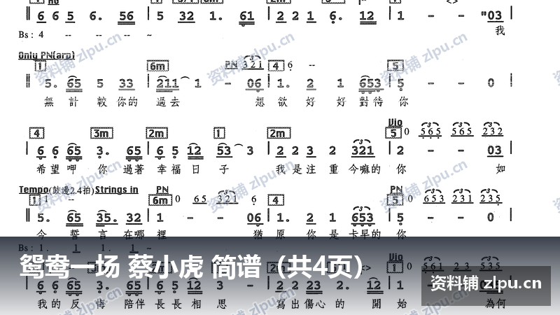 鸳鸯一场 蔡小虎 简谱（共4页）-资料铺