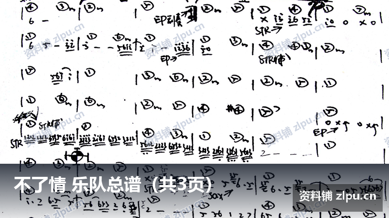 不了情 乐队总谱(共3页)-资料铺