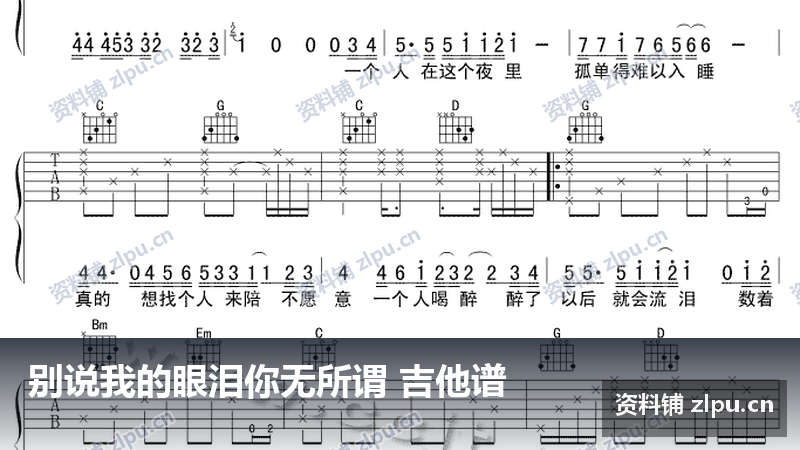 别说我的眼泪你无所谓 吉他谱-资料铺