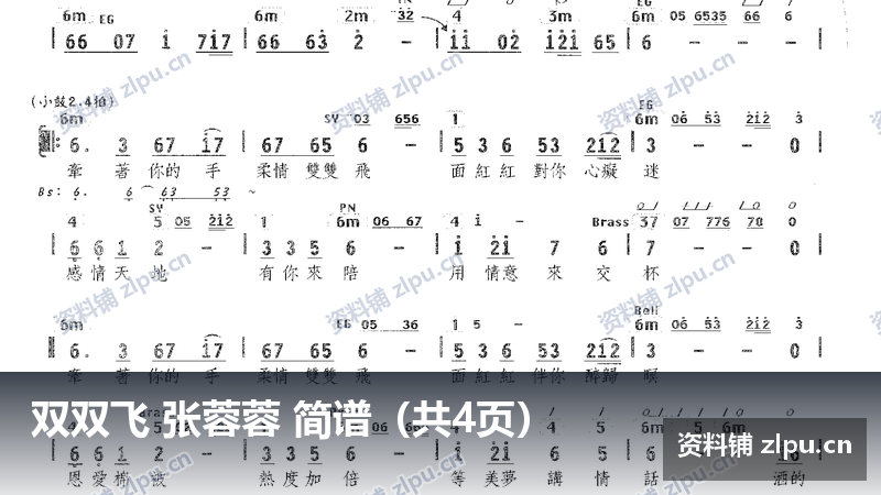 双双飞 张蓉蓉 简谱（共4页）-资料铺