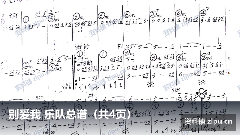 别爱我 乐队总谱（共4页）-资料铺