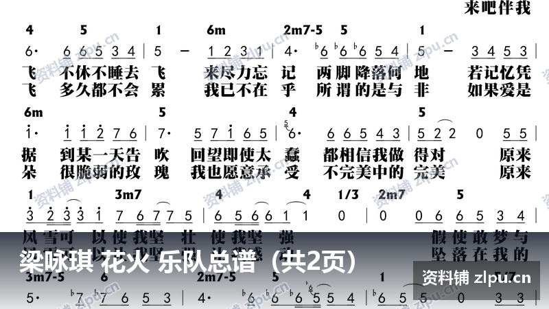 梁咏琪 花火 乐队总谱(共2页)-资料铺