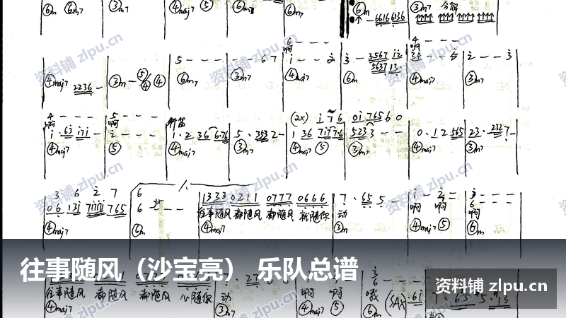 往事随风（沙宝亮） 乐队总谱-资料铺