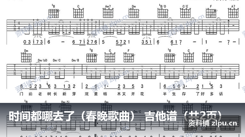 时间都哪去了(春晚歌曲) 吉他谱(共2页)-资料铺