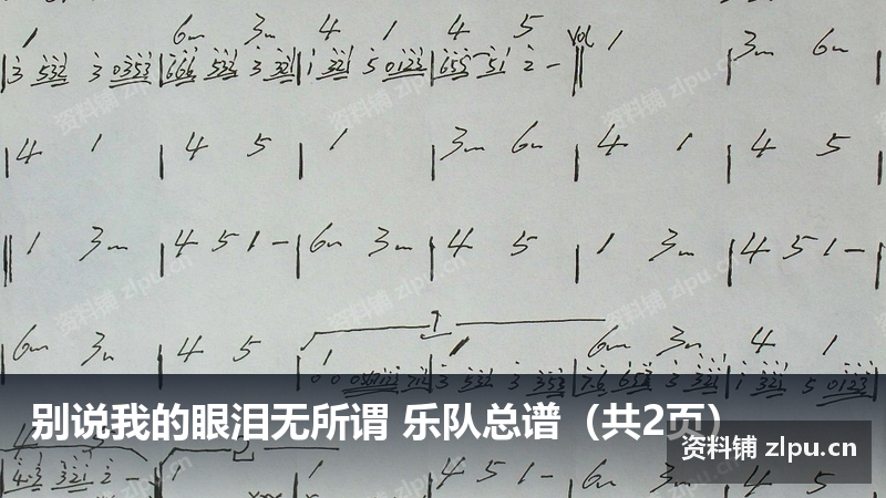 别说我的眼泪无所谓 乐队总谱（共2页）-资料铺