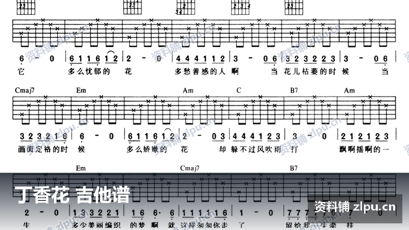 丁香花 吉他谱-资料铺