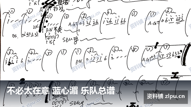 不必太在意 蓝心湄 乐队总谱-资料铺