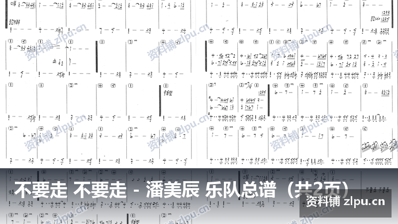 不要走 不要走 - 潘美辰 乐队总谱（共2页）-资料铺