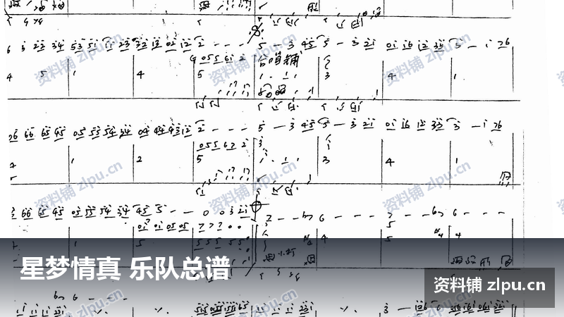 星梦情真 乐队总谱-资料铺