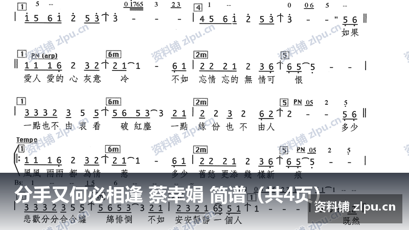 分手又何必相逢 蔡幸娟 简谱(共4页)-资料铺