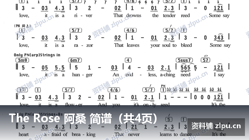 The Rose 阿桑 简谱(共4页)-资料铺