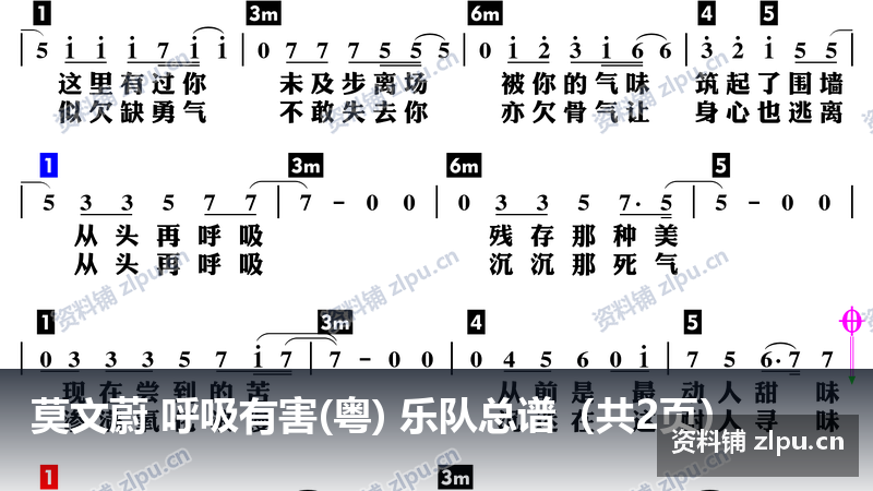 莫文蔚 呼吸有害(粤) 乐队总谱(共2页)-资料铺