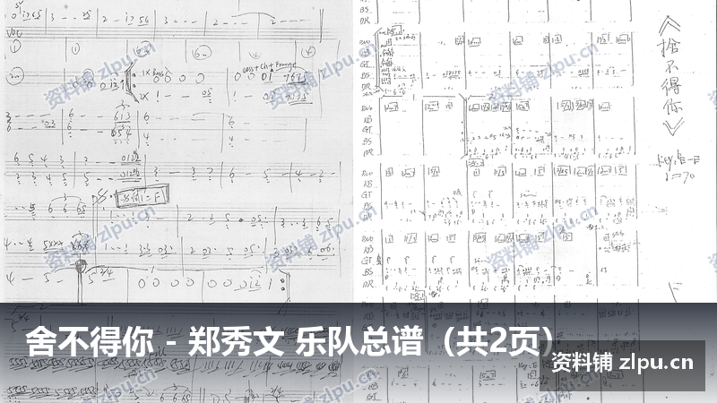 舍不得你 - 郑秀文 乐队总谱（共2页）-资料铺