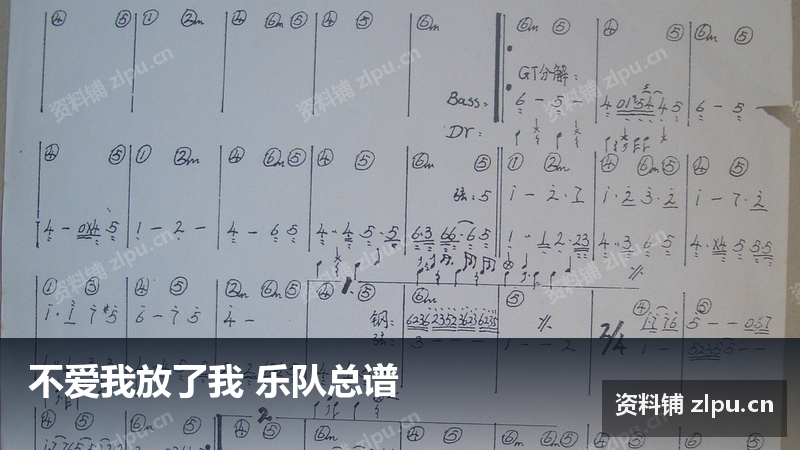 不爱我放了我 乐队总谱-资料铺