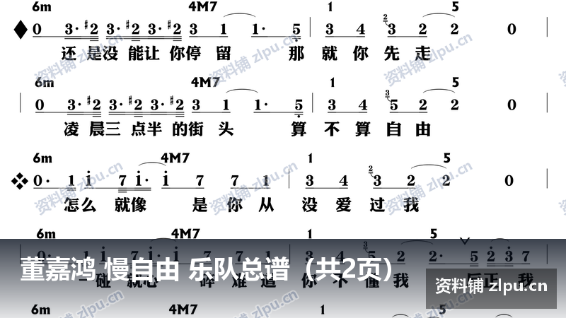 董嘉鸿 慢自由 乐队总谱(共2页)-资料铺