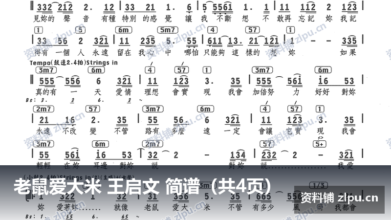 老鼠爱大米 王启文 简谱（共4页）-资料铺