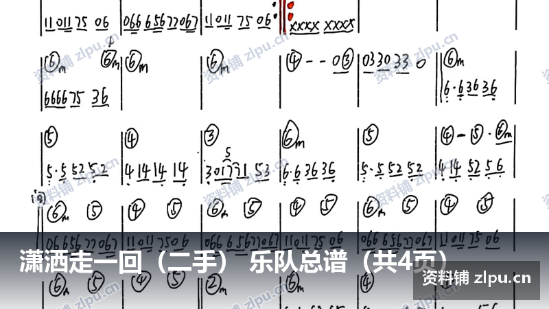 潇洒走一回（二手） 乐队总谱（共4页）-资料铺