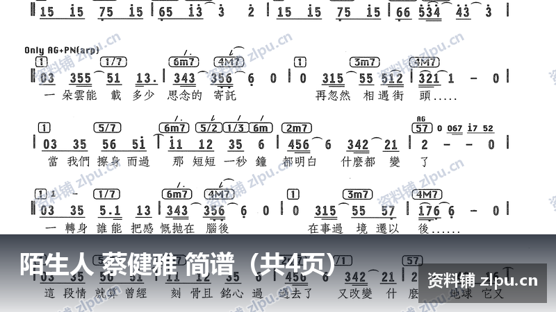 陌生人 蔡健雅 简谱(共4页)-资料铺