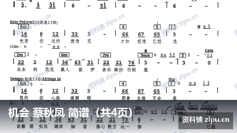 机会 蔡秋凤 简谱(共4页)-资料铺
