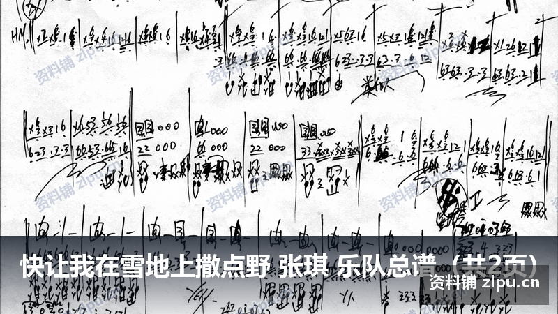 快让我在雪地上撒点野 张琪 乐队总谱（共2页）-资料铺