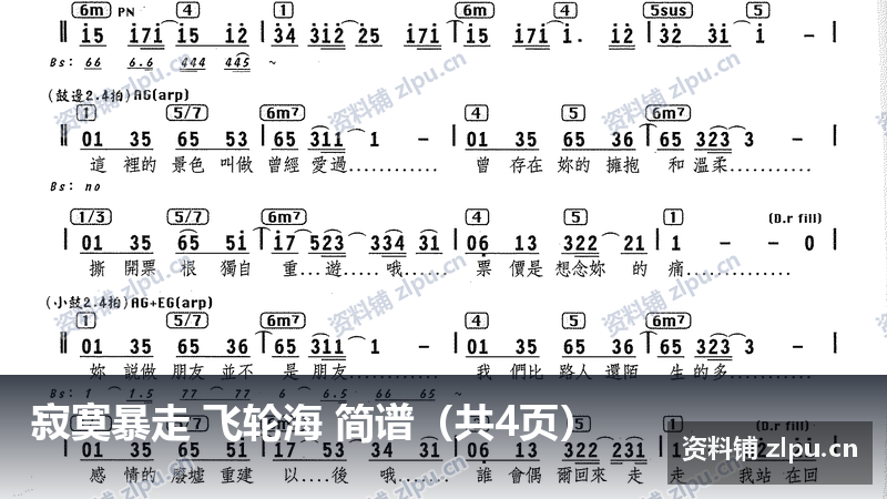 寂寞暴走 飞轮海 简谱（共4页）-资料铺