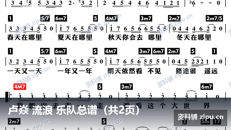 卢焱 流浪 乐队总谱(共2页)-资料铺