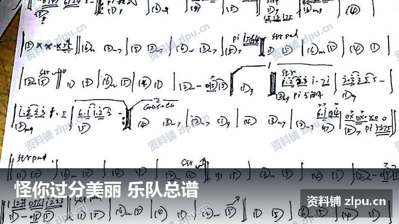 怪你过分美丽 乐队总谱-资料铺