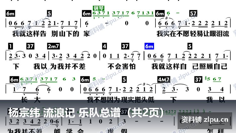 杨宗纬 流浪记 乐队总谱(共2页)-资料铺