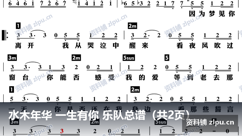 水木年华 一生有你 乐队总谱(共2页)-资料铺