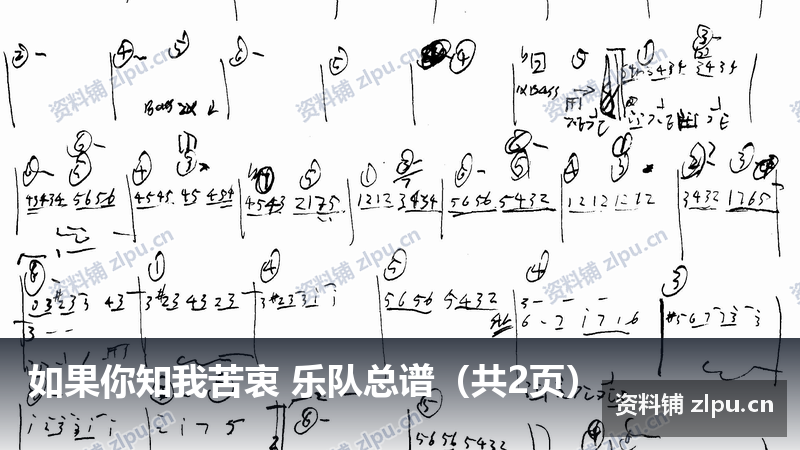 如果你知我苦衷 乐队总谱（共2页）-资料铺