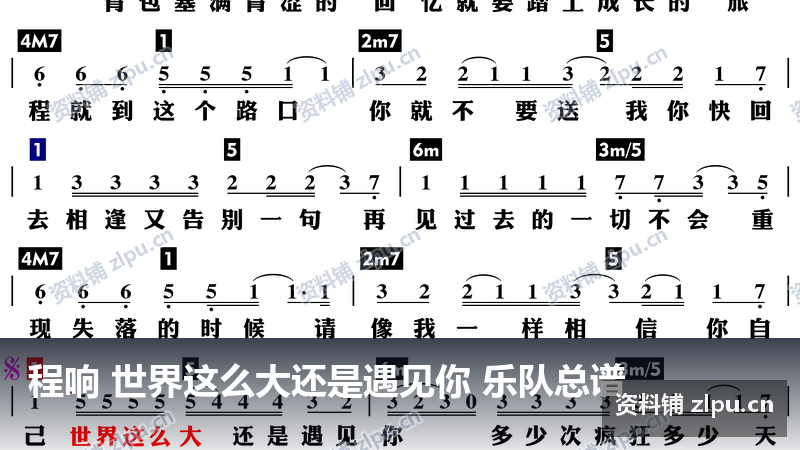 程响 世界这么大还是遇见你 乐队总谱-资料铺
