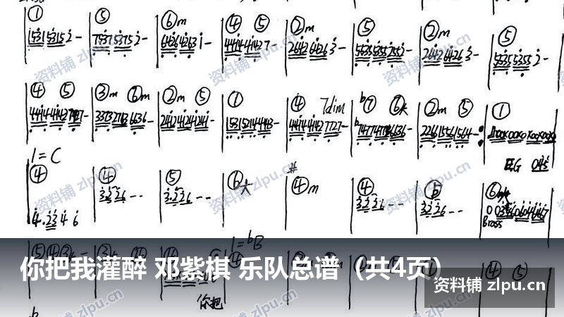 你把我灌醉 邓紫棋 乐队总谱（共4页）-资料铺
